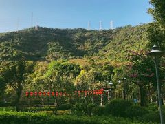 -小南山公园