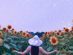 -奥林匹克森林公园北园-停车场