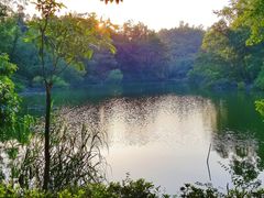 景点-三水森林公园