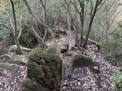 -午潮山国家森林公园