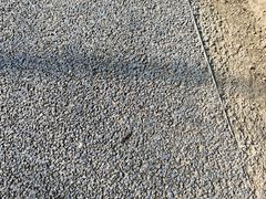 -春花秋色城市公园