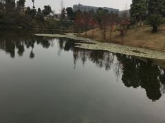 -东岳体育公园