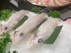 -朱光玉火锅馆(全国总店·金冠好店)