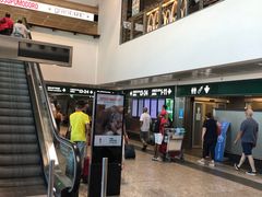 -米兰马尔彭萨国际机场