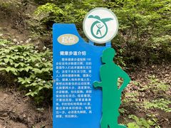 -大岭沟猕猴桃谷风景区