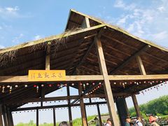 -溱湖国家湿地公园