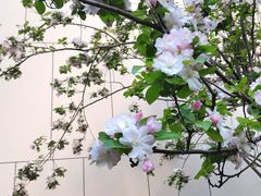 -東更道点心行(文化东路店)