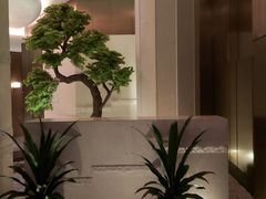 -同庆楼(滨湖万达广场店)