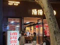 -阳阳老火锅(小南门店)