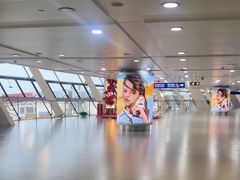 -合肥新桥国际机场-航站楼