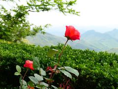 -莫干山风景区