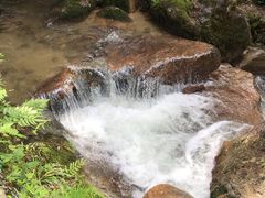 -龙岩森林水乡景区