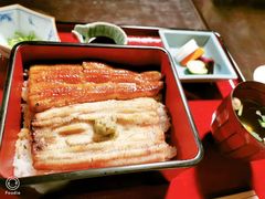 -料亭菊水楼