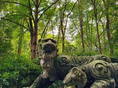-虎跑公园
