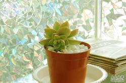 DSC_1430_conew2-极致·本色 发型工作室