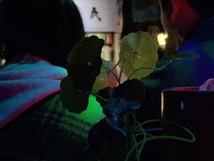 -民谣未来吧