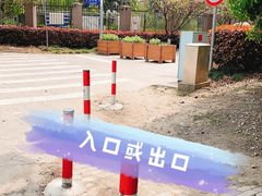 -高东镇樱花园