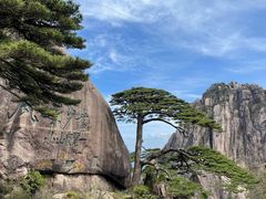 -黄山风景区