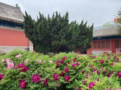 -大钟寺古钟博物馆