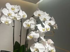 -星巴克(香港名都店)