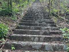 -桃花岭景区