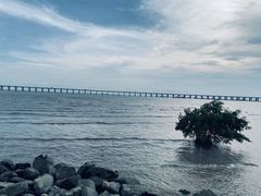 -宝安西湾红树林湿地公园