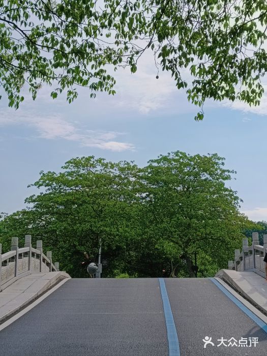 惠州泗洲塔图片