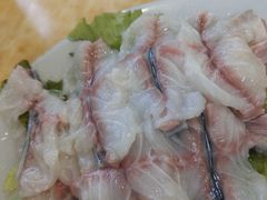 野生庐鳗-金砂阿洲鱼册店