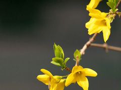 -永辉超市(摩尔天成店)