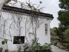 -日出青木