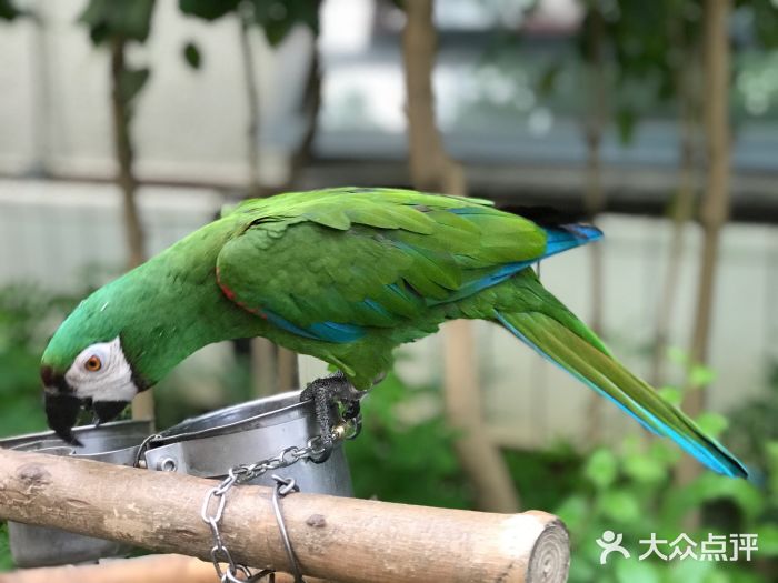 南宫五洲植物乐园图片