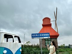 -杭州湾海上花田景区
