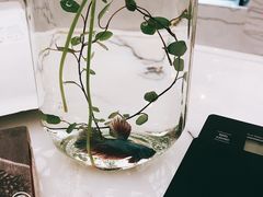 -chenity  cafe