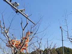 -滨江攀岩