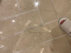 -常州武进九洲喜来登酒店