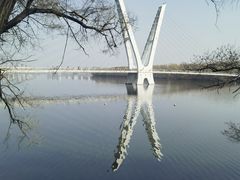 -沈阳鸟岛