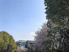 -清远熹乐谷温泉度假酒店
