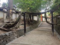 -奈良公园