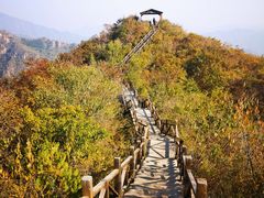 -大岭沟猕猴桃谷风景区