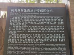 -黄海国家森林公园