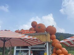 -南北湖风景区