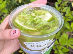 小苦瓜-炖物24章·顺时轻养茶(杭州大厦店)