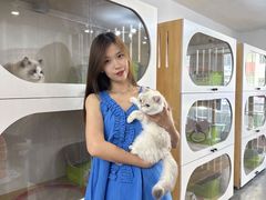 -青奢宠物·青奢猫舍