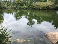 -崇圣寺三塔文化旅游区