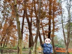 -桤木河湿地公园