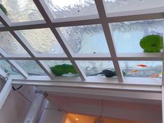 门面-蜜舍咖啡(洋人街店)