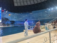 -泉城欧乐堡海洋极地世界