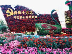 -西北湖绿化广场
