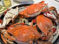 -半岛听涛蒸汽海鲜自助(K11店)