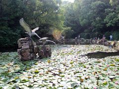 -石峰公园